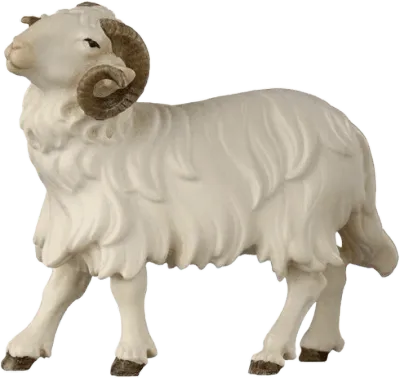 Ram Looking Left – nativity figure by Pema Woodcarvings