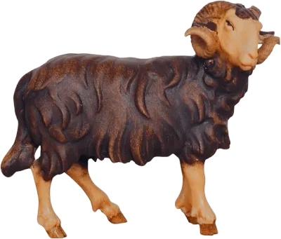 Dark Ram Looking Right – nativity figure by Pema Woodcarvings
