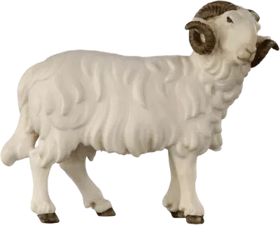 Ram Looking Right – nativity figure by Pema Woodcarvings