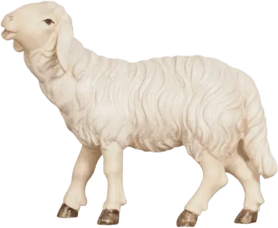 Sheep Eating Head Up – nativity figure by Pema Woodcarvings
