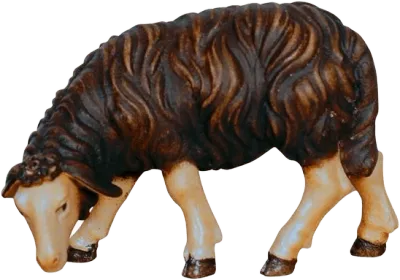Dark Sheep Grazing Looking Left – nativity figure by Pema Woodcarvings