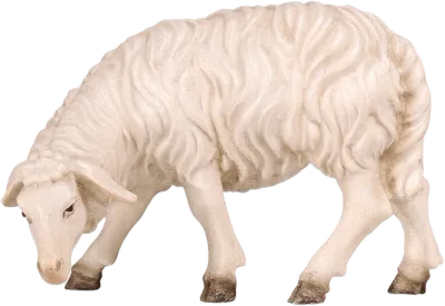 Sheep Grazing Looking Left – nativity figure by Pema Woodcarvings