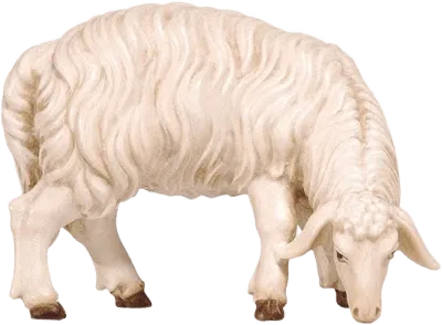 Sheep Grazing Looking Right – nativity figure by Pema Woodcarvings