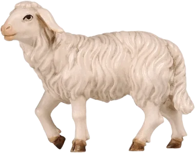 Sheep Standing with Head Up – nativity figure by Pema Woodcarvings