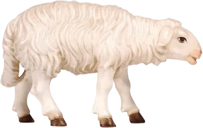 Sheep Standing Looking Forward – nativity figure by Pema Woodcarvings
