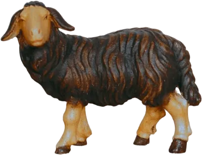 Dark Sheep Standing Looking Left – nativity figure by Pema Woodcarvings