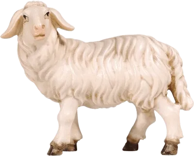 Sheep Standing Looking Left – nativity figure by Pema Woodcarvings