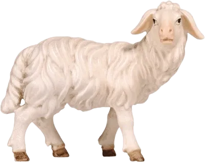 Sheep Standing Looking Right – nativity figure by Pema Woodcarvings