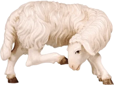 Sheep Scratching – nativity figure by Pema Woodcarvings