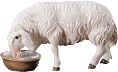 Drinking Sheep – nativity figure by ULPE Wood Art