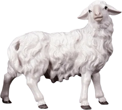 Sheep Looking Right – nativity figure by ULPE Wood Art