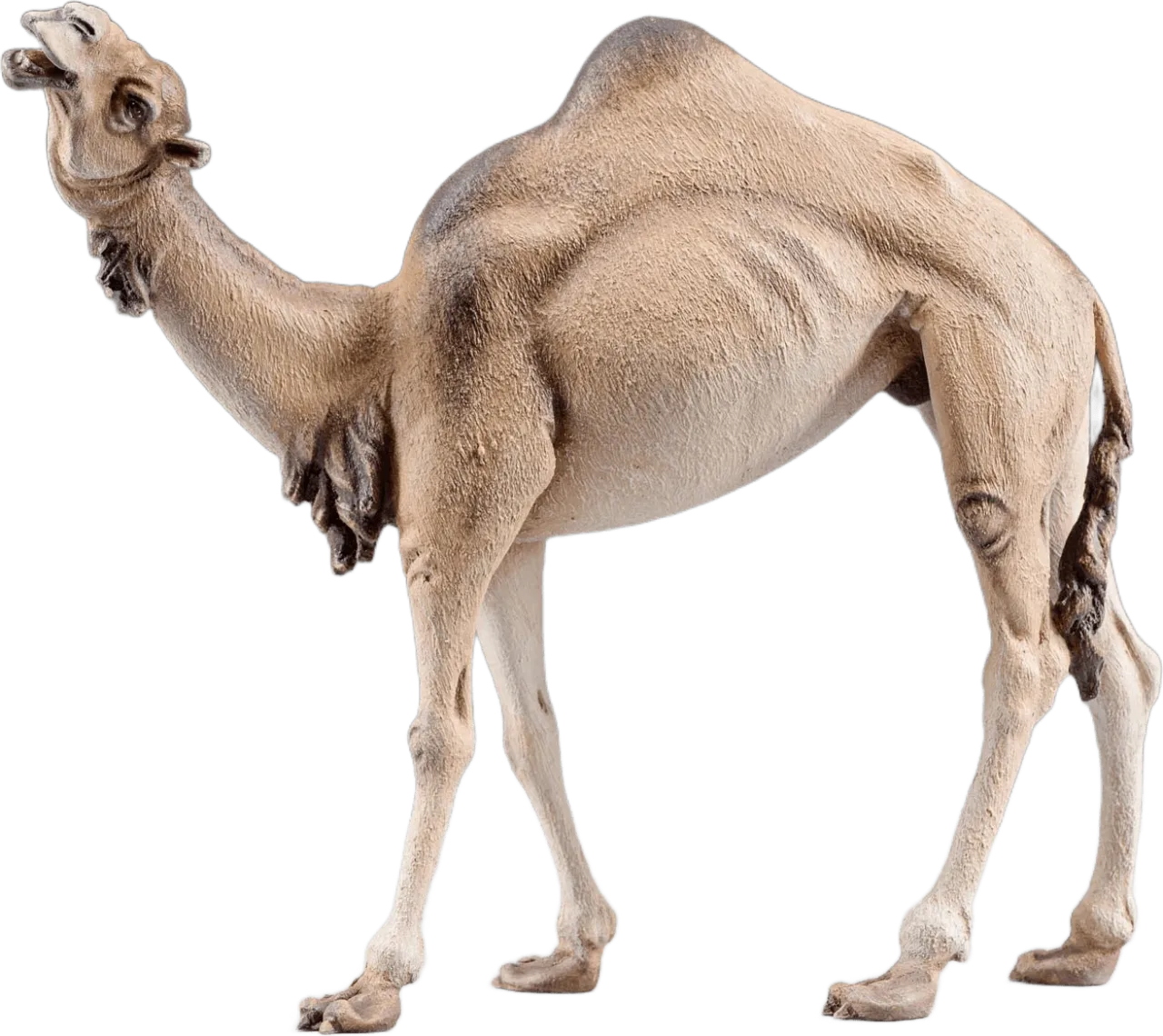 Camel head high – nativity figure by Original Heide