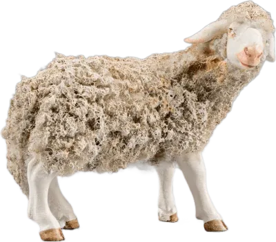 Wooly Sheep Looking Right – nativity figure by Original Heide
