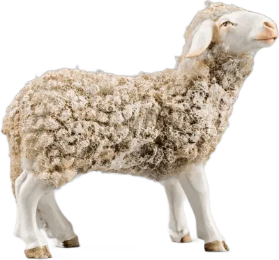 Wooly Sheep Looking Forward – nativity figure by Original Heide