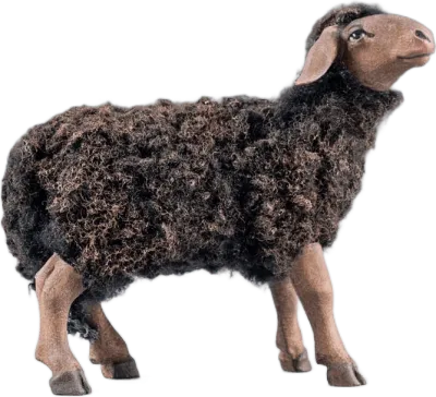 Dark Wooly Sheep Looking Forward – nativity figure by Original Heide