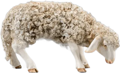 Wooly Sheep Grazing – nativity figure by Original Heide