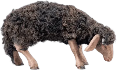 Dark Wooly Sheep Grazing – nativity figure by Original Heide