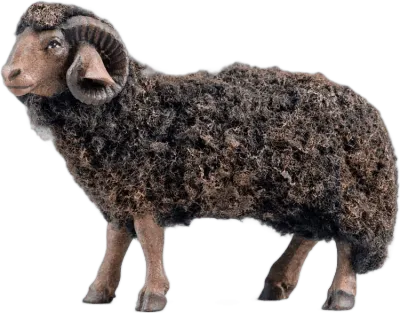 Dark Wooly Ram – nativity figure by Original Heide