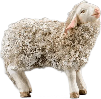 Wooly Lamb – nativity figure by Original Heide