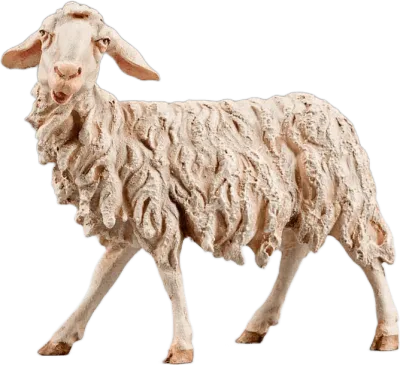 Sheep – nativity figure by Original Heide