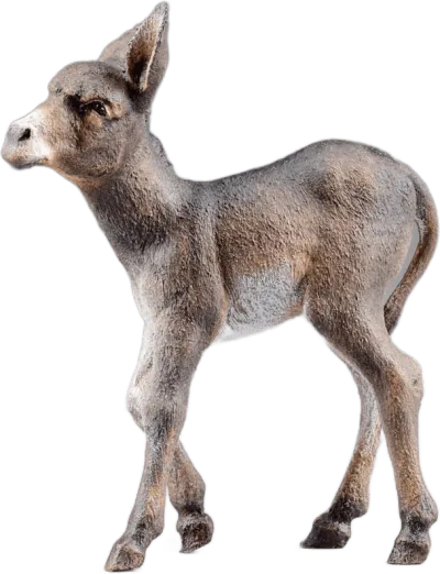 Donkey foal – nativity figure by Original Heide
