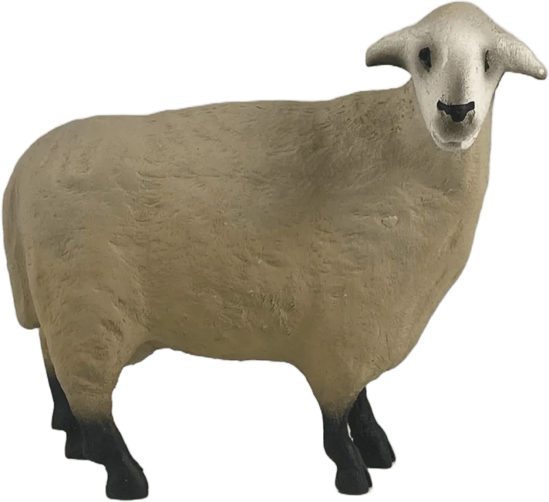 Sheep – nativity figure by Henning