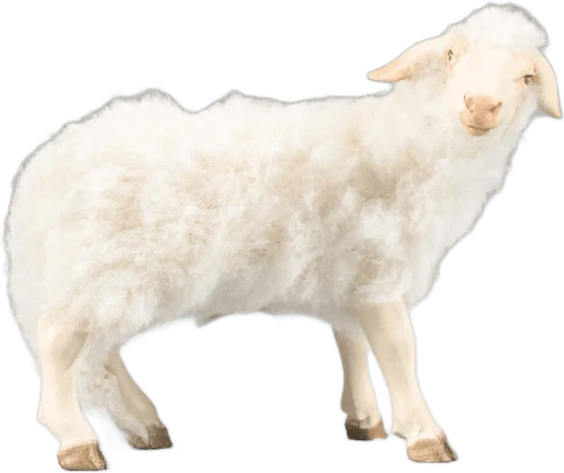 Sheep with wool white – nativity figure by Original Heide