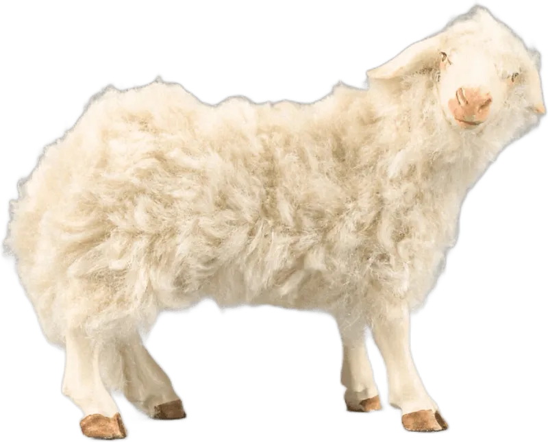 Sheep with wool beige – nativity figure by Original Heide