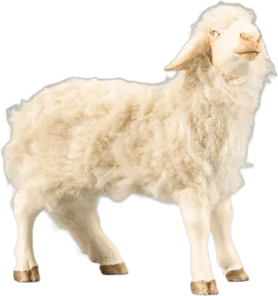 Sheep with wool beige – nativity figure by Original Heide