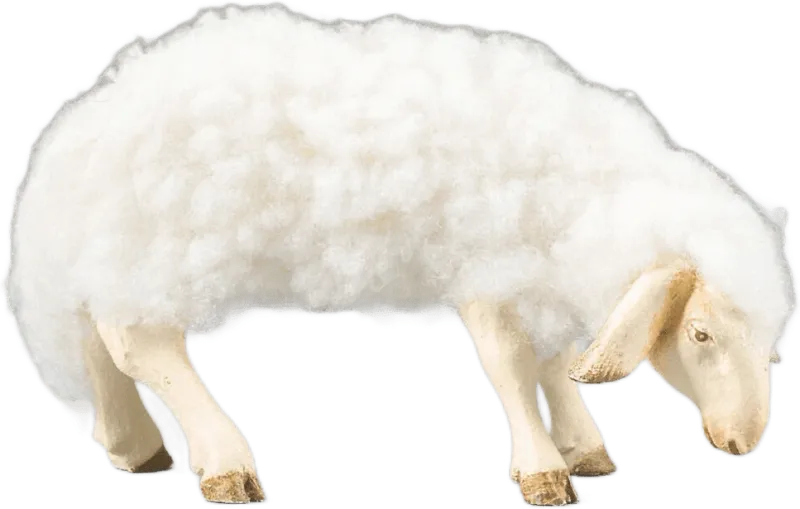 Sheep with wool grazing white – nativity figure by Original Heide