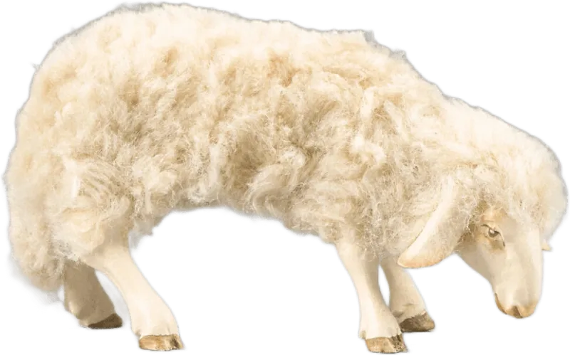 Sheep with wool grazing beige – nativity figure by Original Heide