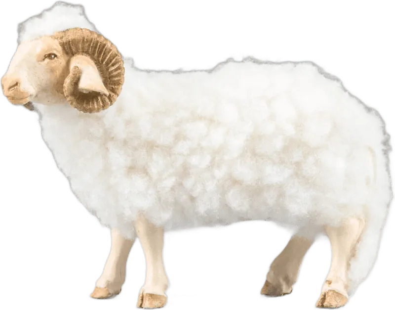 Ram with wool  white – nativity figure by Original Heide