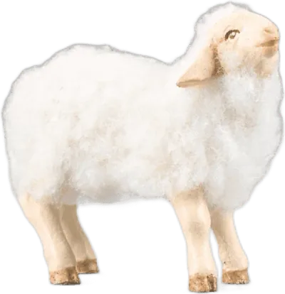 Lamb with wool white – nativity figure by Original Heide