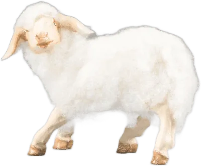 Lamb left with wool white – nativity figure by Original Heide