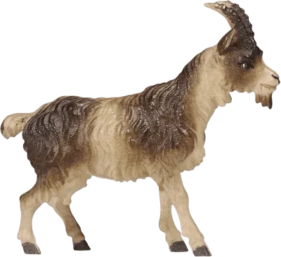 Goat Short Hair – nativity figure by Pema Woodcarvings