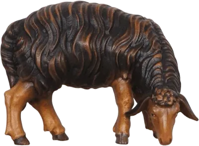 Dark Sheep Grazing Looking Right – nativity figure by Pema Woodcarvings