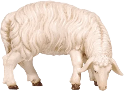Sheep Grazing Looking Right – nativity figure by Pema Woodcarvings