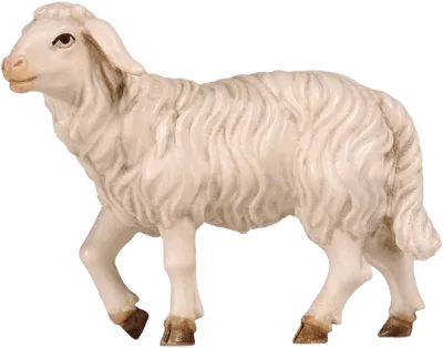 Sheep Standing Head Up – nativity figure by Pema Woodcarvings