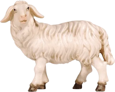 Sheep Standing Looking Left – nativity figure by Pema Woodcarvings