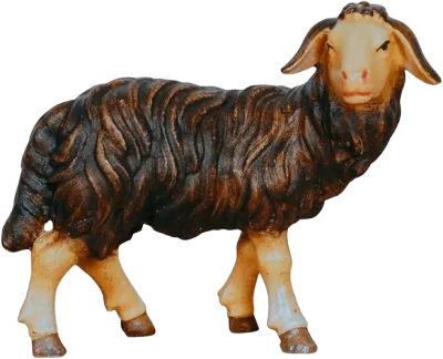 Dark Sheep Standing Looking Right – nativity figure by Pema Woodcarvings