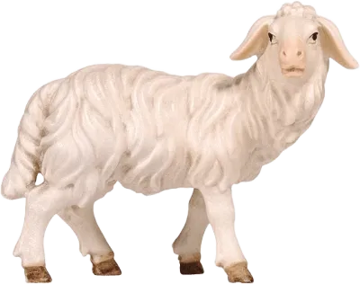 Sheep Standing Looking Right – nativity figure by Pema Woodcarvings